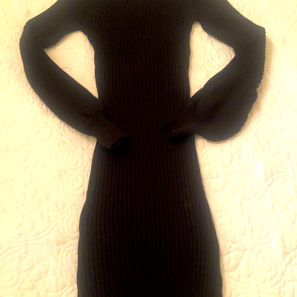 Windsor sweater dress size small